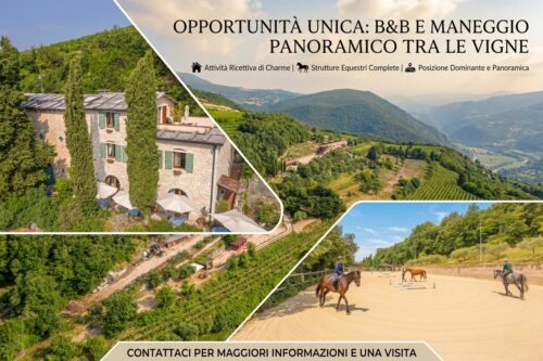 Fumane: esclusiva tenuta con attività ricettiva e maneggio